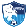 Clublogo van Erzurum