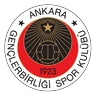Clublogo van Genclerbirli
