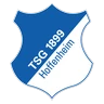 Clublogo van Hoffenheim