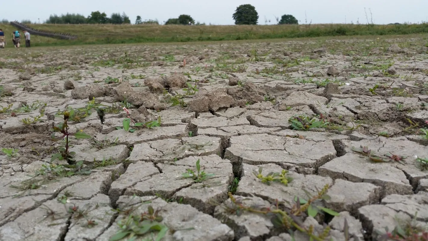Uitgedroogde, gebarsten bodem van een drooggevallen waterbekken