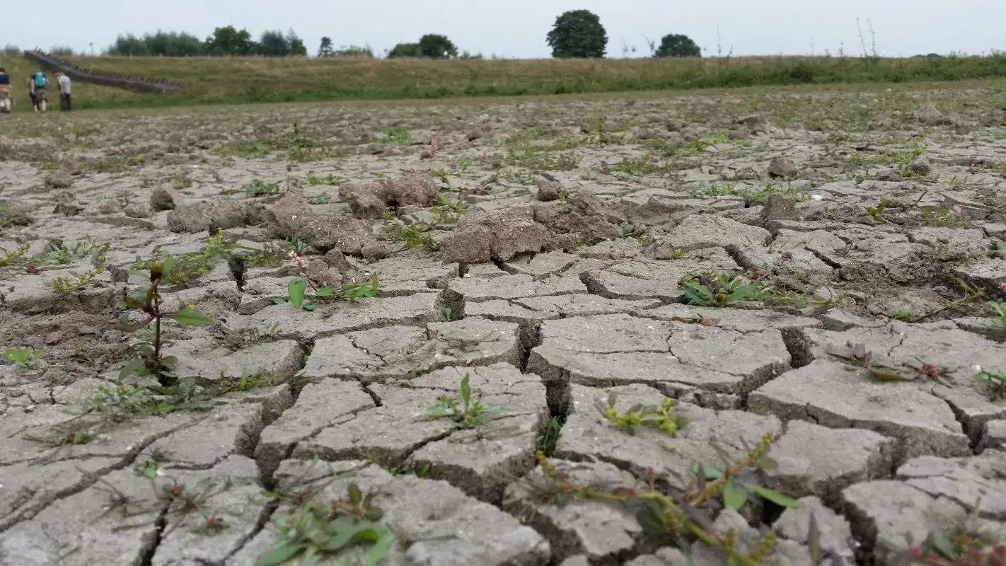 Uitgedroogde, gebarsten bodem van een drooggevallen waterbekken