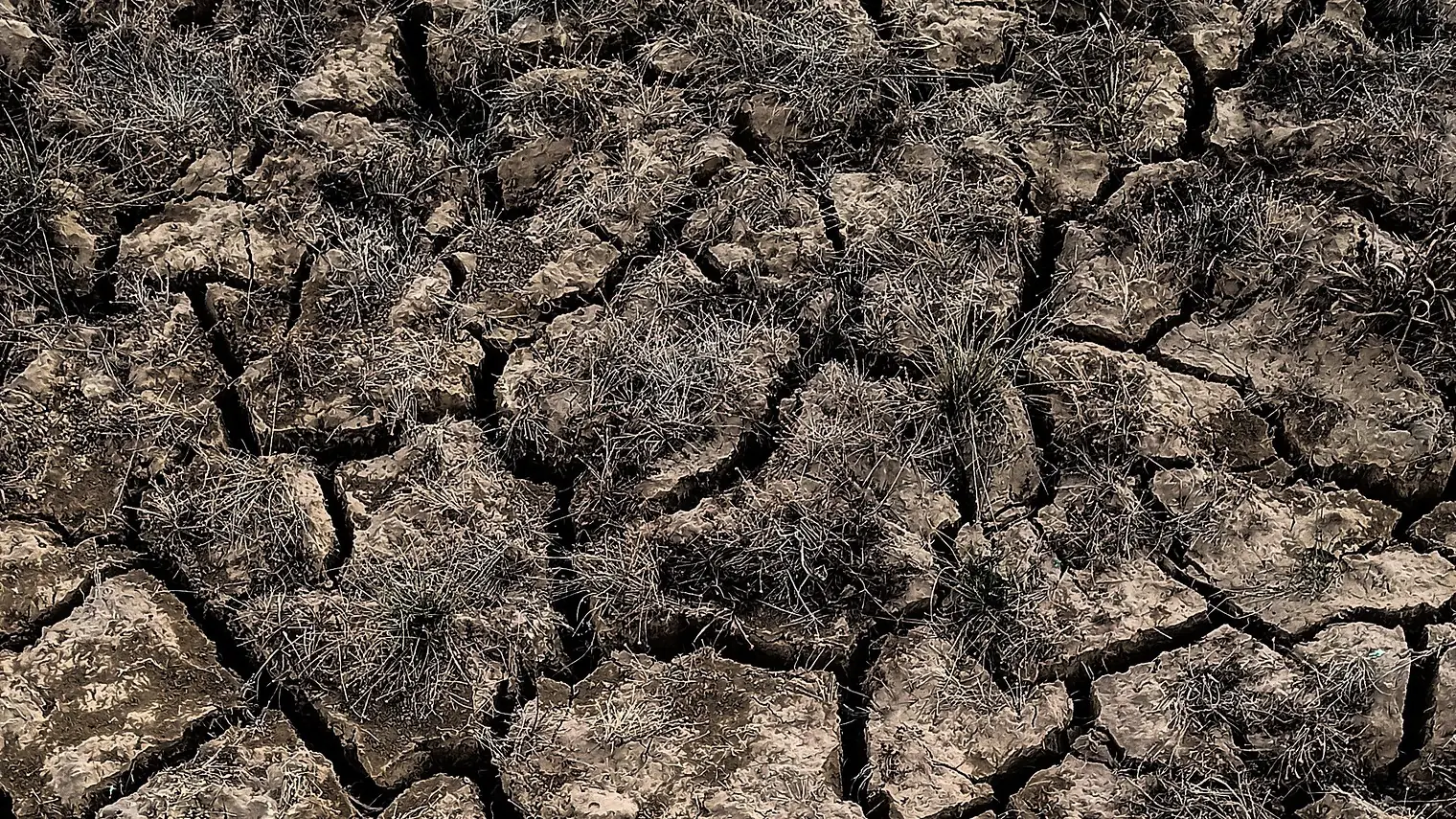 Droge, gebarsten aarde met verdorgd gras na een lange periode van hitte en droogte