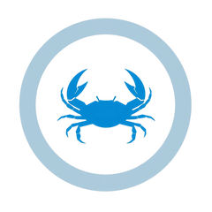 Kreeft (Cancer) sterrenbeeld symbool, waterteken