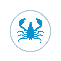 Schorpioen (Scorpio) sterrenbeeld symbool, waterteken