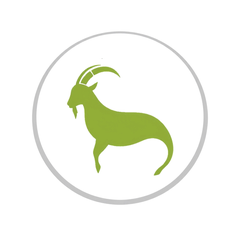 Steenbok (Capricorn) sterrenbeeld symbool, aardeteken