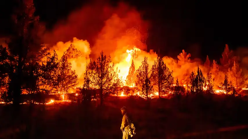 Brandweerman kijkt in het donker naar een vuurfront dat door een naaldbos slaat, met hoge oranje vlammen en dikke rookwolken