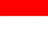 Vlag van Indonesie